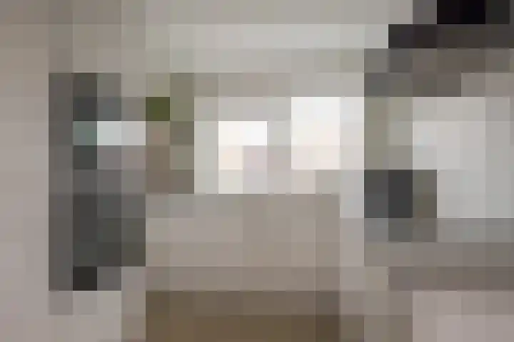 Galjoen 122 Nijkerk thumbnail 8