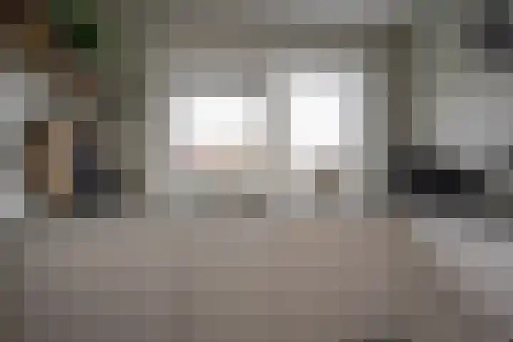 Galjoen 122 Nijkerk thumbnail 9
