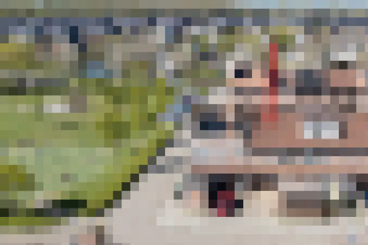 Galjoen 13 13 23 in Lelystad