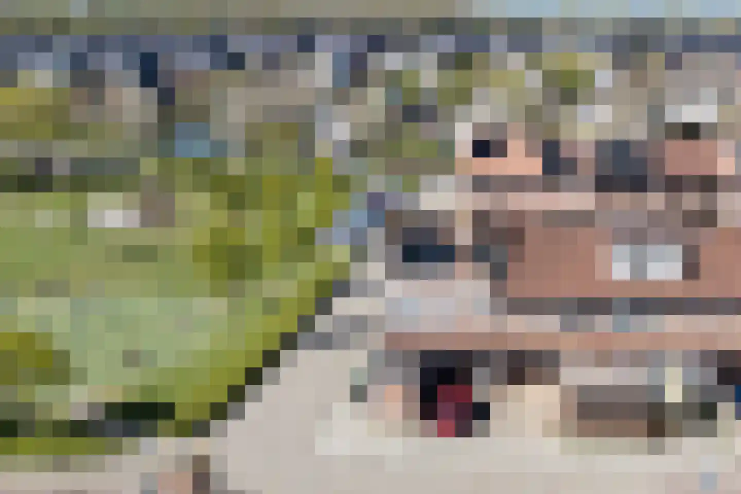 Galjoen 13 23 Lelystad thumbnail 42
