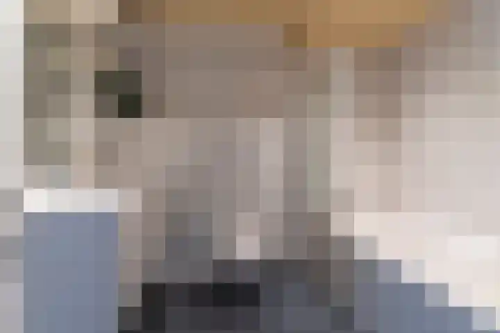 Galjoen 14 Veenendaal thumbnail 15