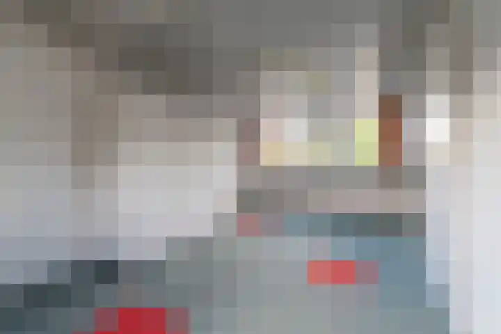 Galjoen 14 Veenendaal thumbnail 17