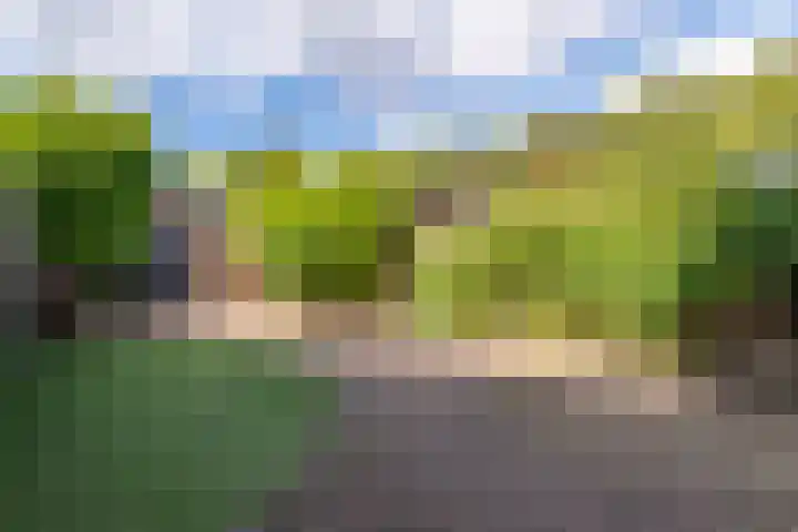 Galjoen 14 Veenendaal thumbnail 19