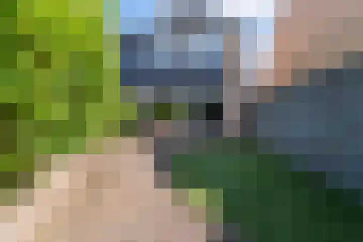 Galjoen 14 Veenendaal thumbnail 20