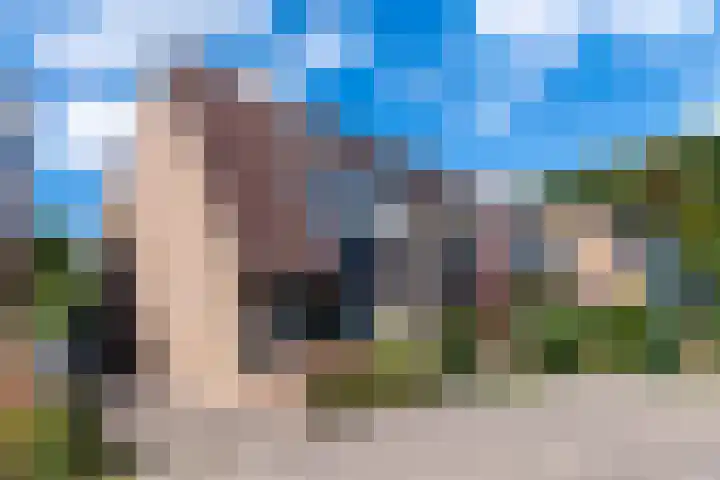 Galjoen 14 Veenendaal thumbnail 22