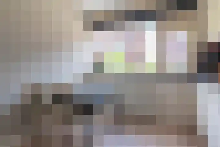 Galjoen 14 Veenendaal thumbnail 9