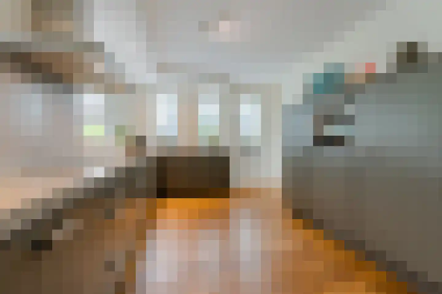 Galjoen 15 1 Lelystad thumbnail 12
