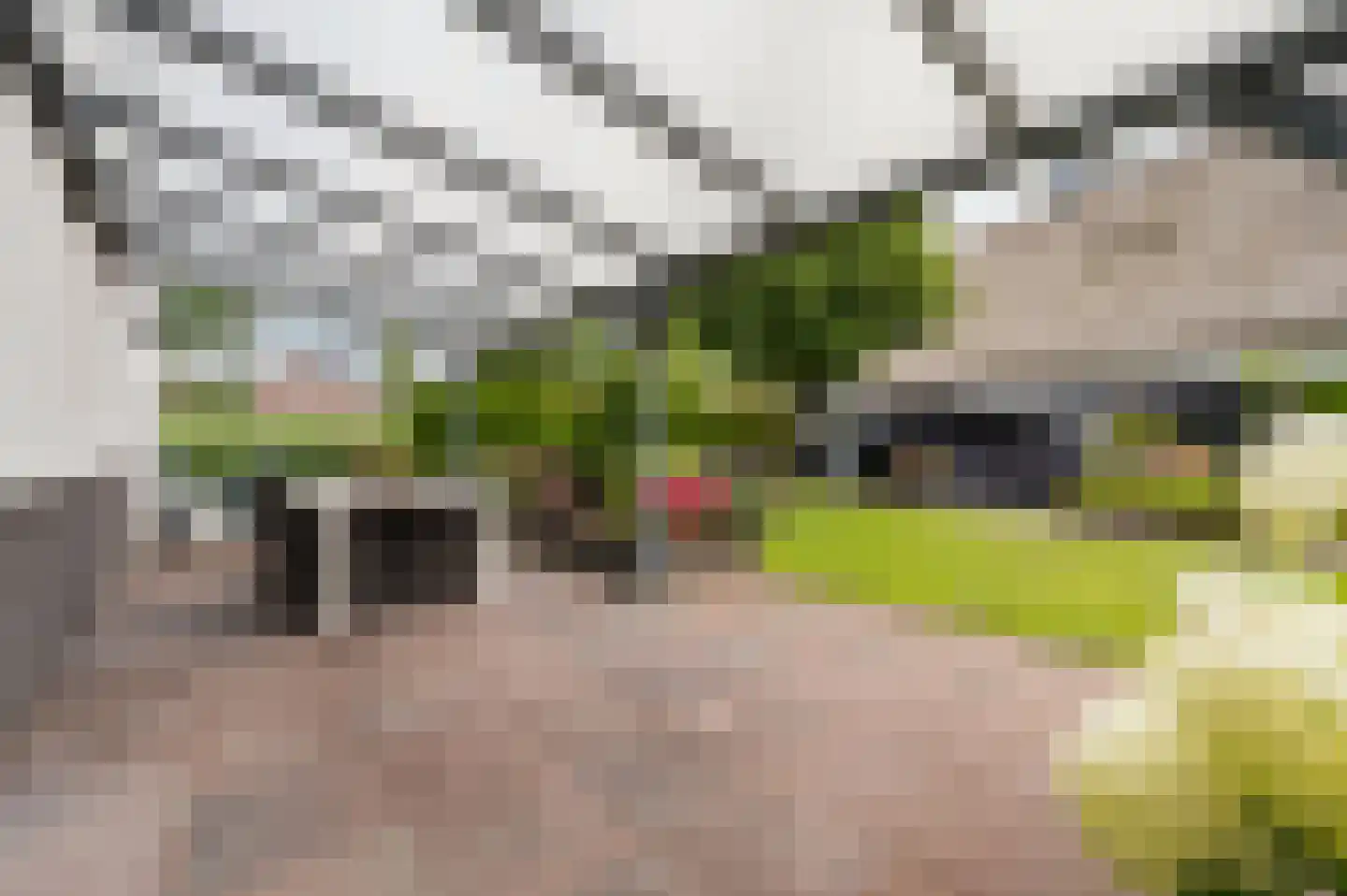 Galjoen 15 1 Lelystad thumbnail 35