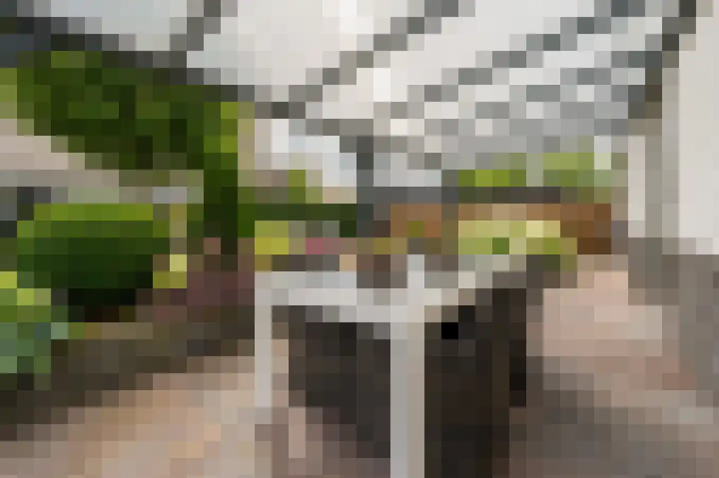 Galjoen 15 1 Lelystad thumbnail 37