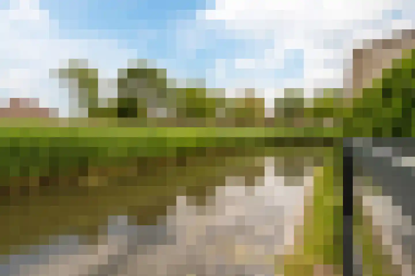 Galjoen 15 1 Lelystad thumbnail 43