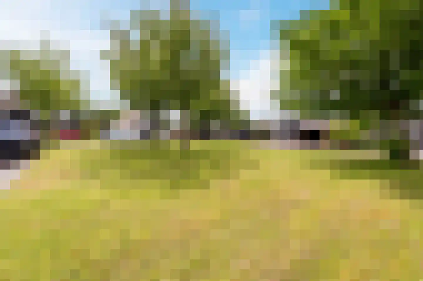Galjoen 15 1 Lelystad thumbnail 47