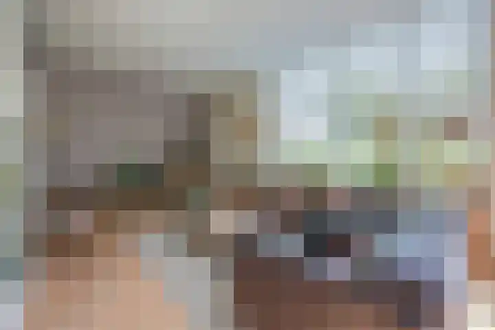 Galjoen 15 15 2 Lelystad thumbnail 10