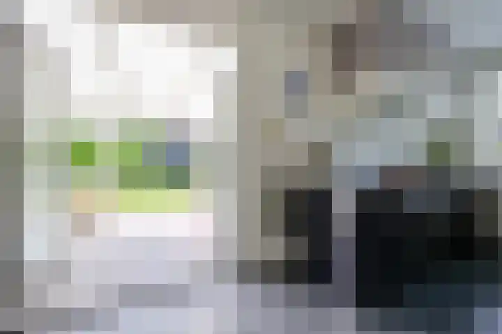 Galjoen 15 15 2 Lelystad thumbnail 25