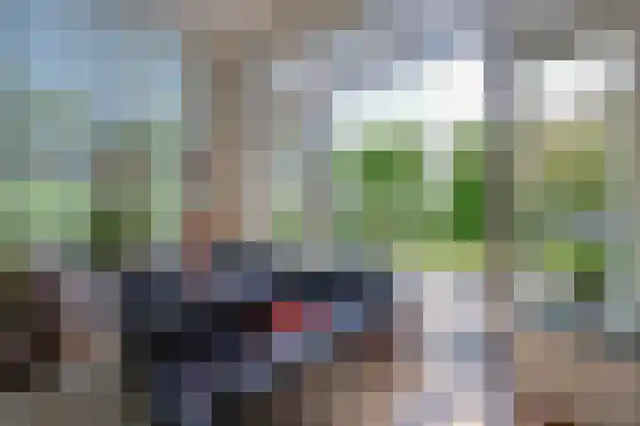 Galjoen 15 15 2 Lelystad thumbnail 27