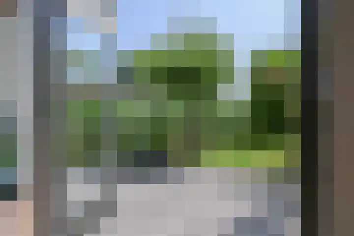 Galjoen 15 15 2 Lelystad thumbnail 44