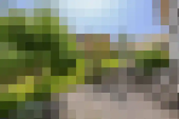 Galjoen 15 15 2 Lelystad thumbnail 45