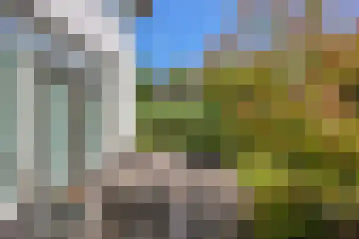Galjoen 15 15 2 Lelystad thumbnail 47