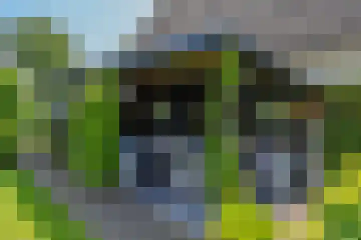 Galjoen 15 15 2 Lelystad thumbnail 57