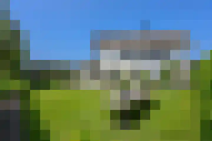 Galjoen 15 15 2 Lelystad thumbnail 60