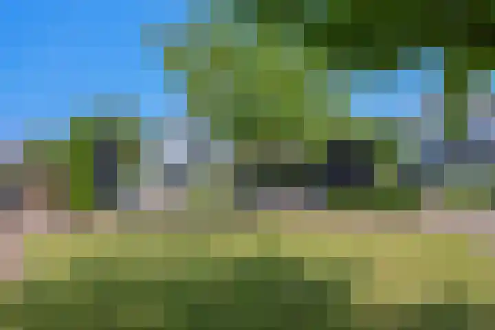 Galjoen 15 15 2 Lelystad thumbnail 66