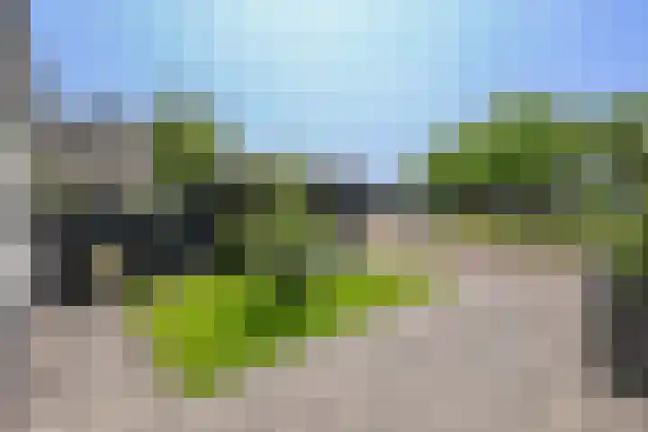 Galjoen 15 15 2 Lelystad thumbnail 67
