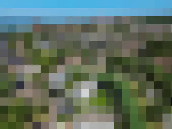 Galjoen 15 15 2 Lelystad thumbnail 69