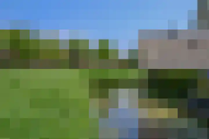 Galjoen 15 15 2 Lelystad thumbnail 70