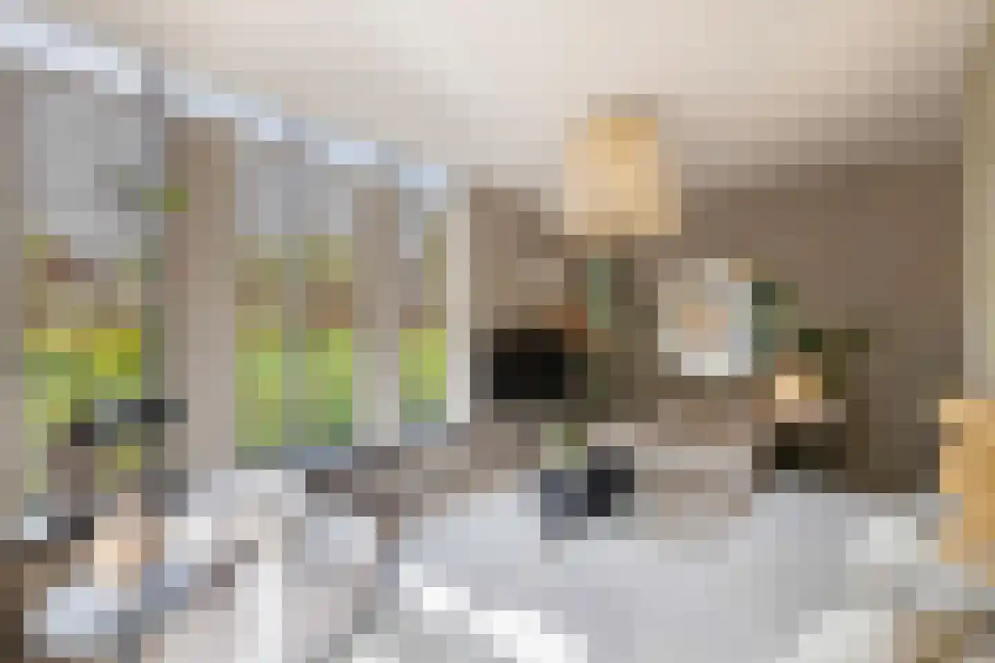 Galjoen 15 15 9 Lelystad thumbnail 16