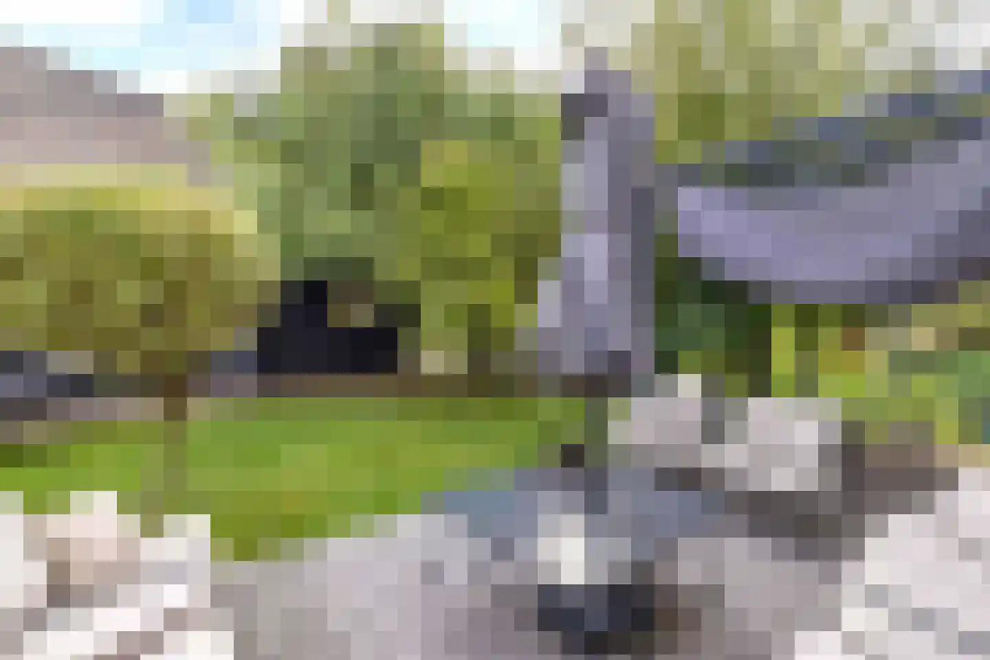 Galjoen 15 15 9 Lelystad thumbnail 27