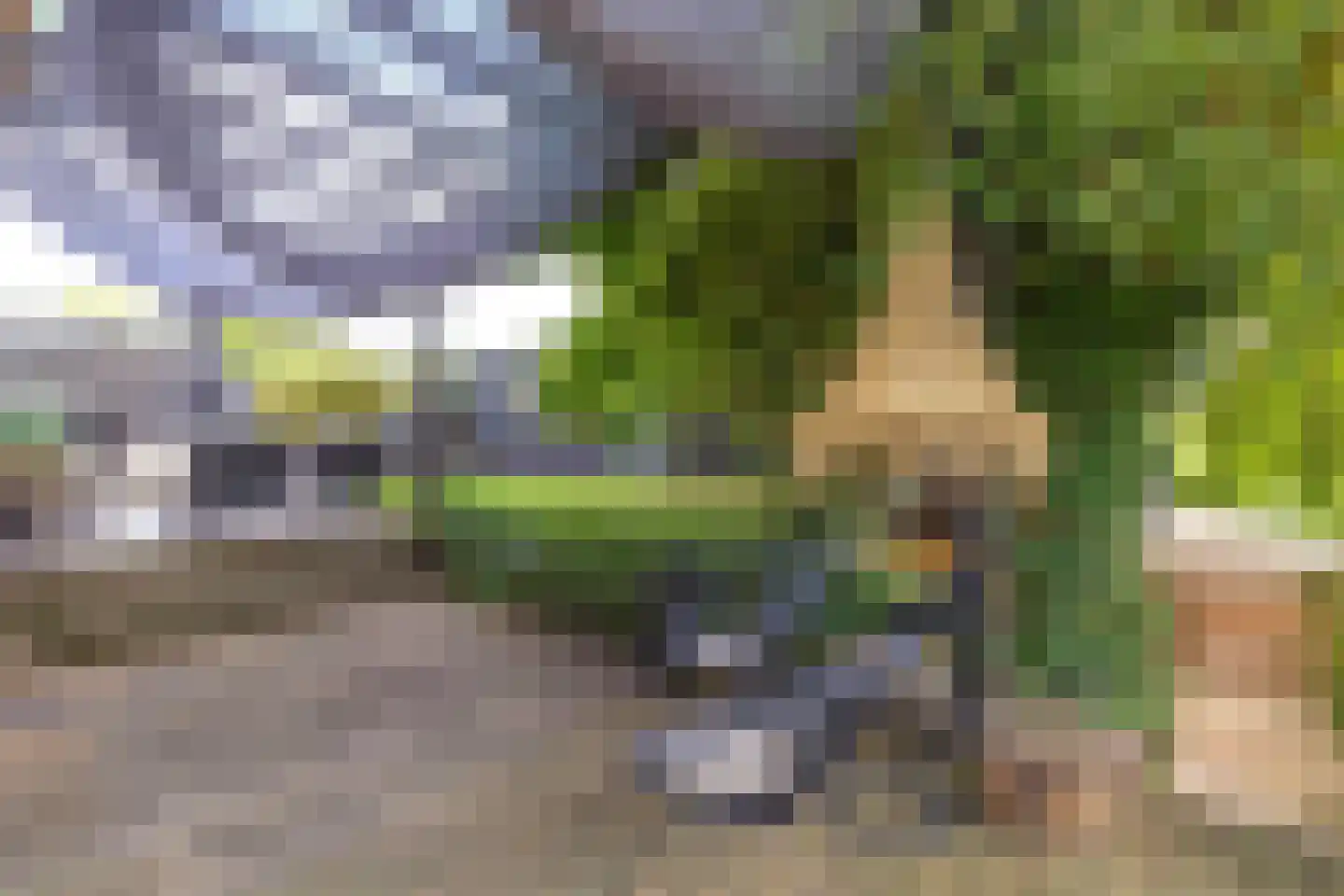 Galjoen 15 15 9 Lelystad thumbnail 40