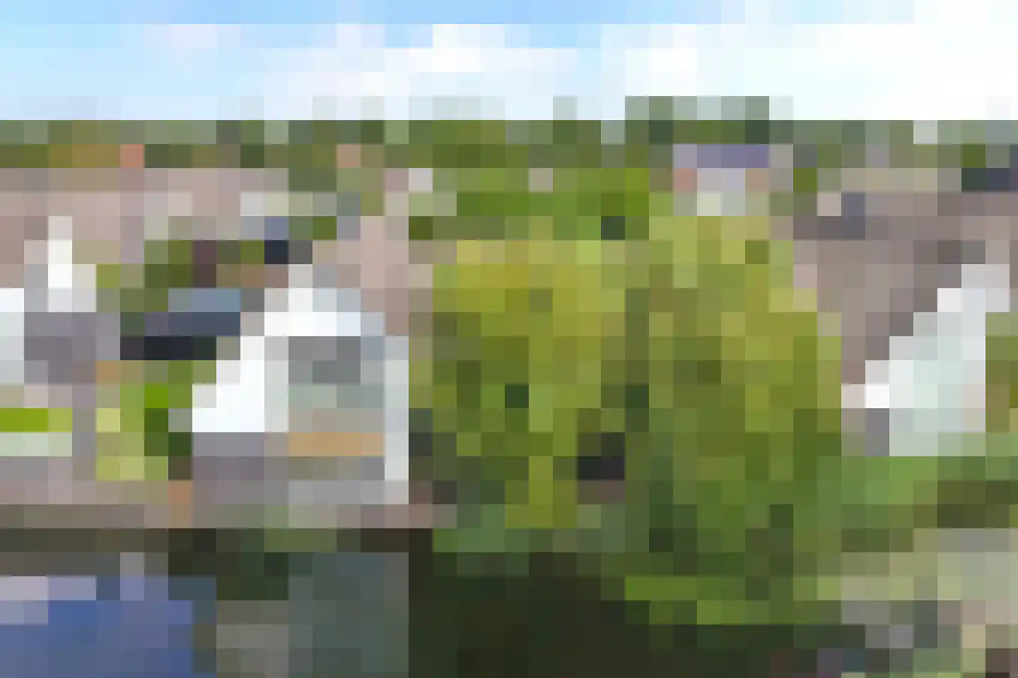 Galjoen 15 15 9 Lelystad thumbnail 71