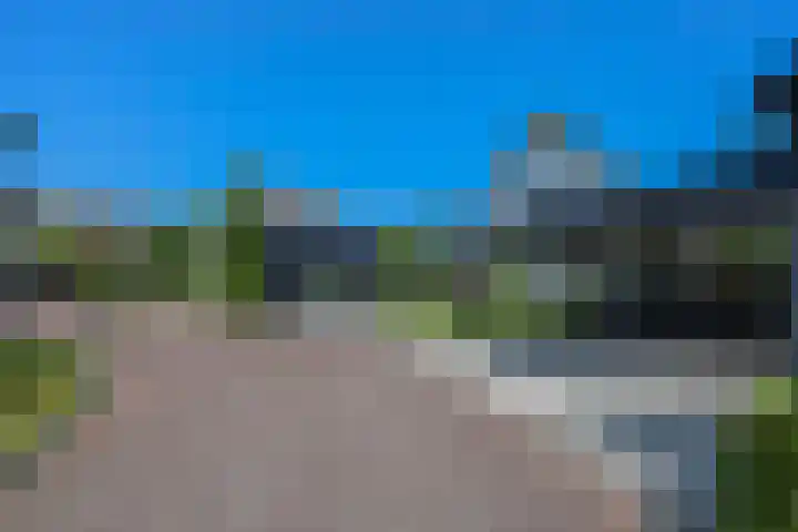 Galjoen 15 2 Lelystad thumbnail 64