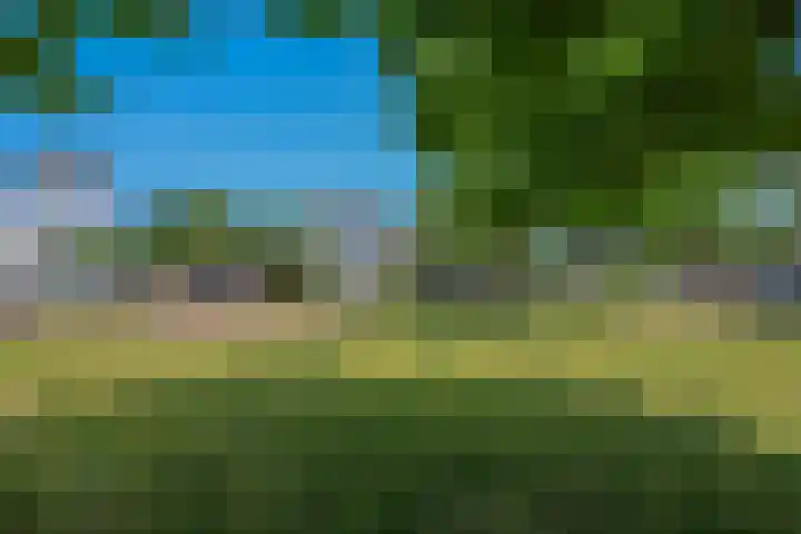 Galjoen 15 2 Lelystad thumbnail 68