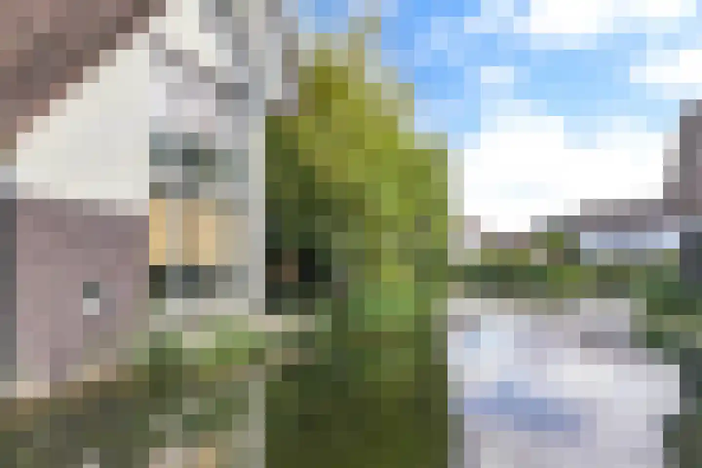 Galjoen 15 9 Lelystad thumbnail 38