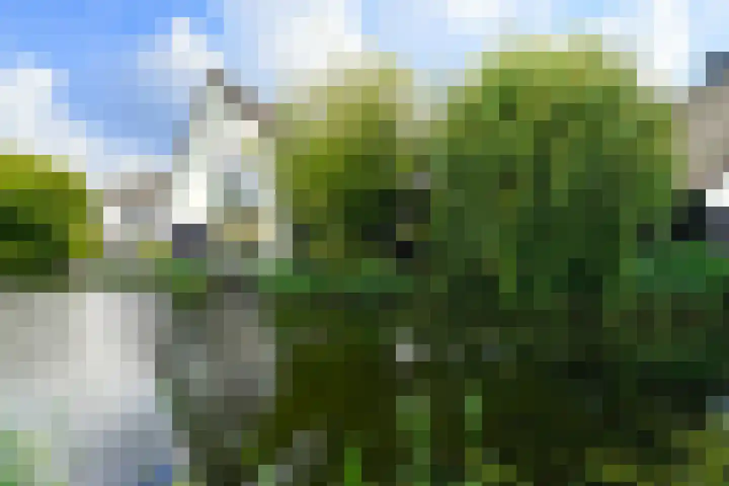 Galjoen 15 9 Lelystad thumbnail 5