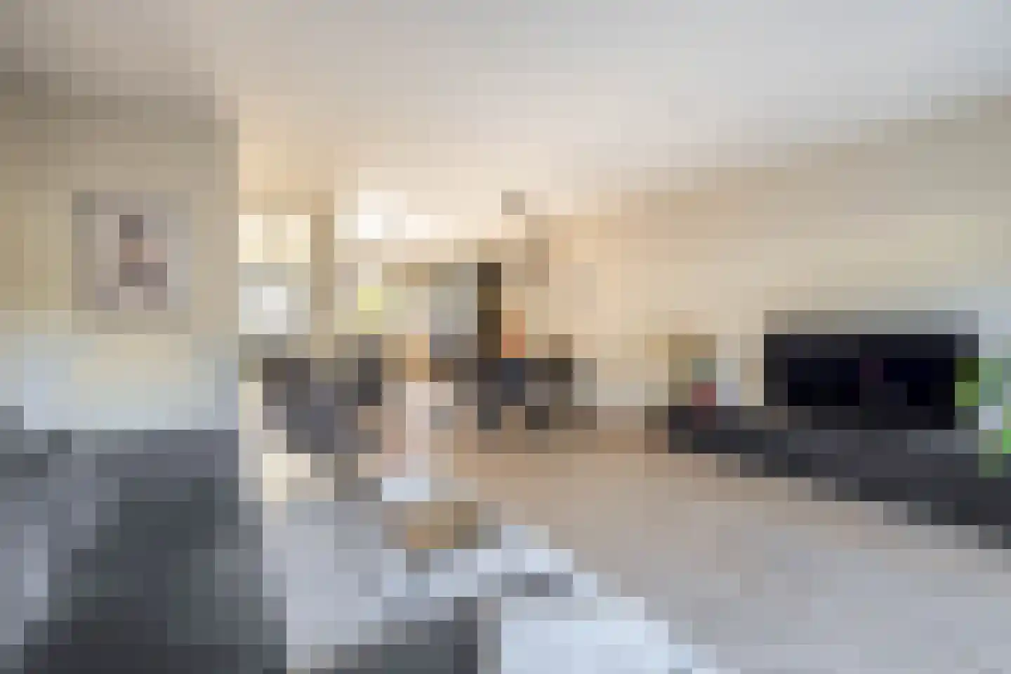 Galjoen 16 Veenendaal thumbnail 11