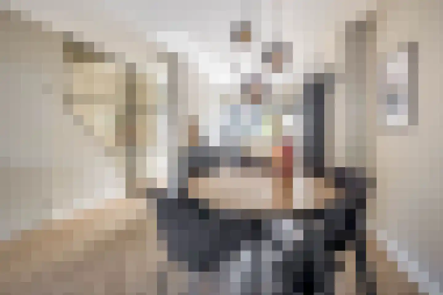 Galjoen 16 Veenendaal thumbnail 12