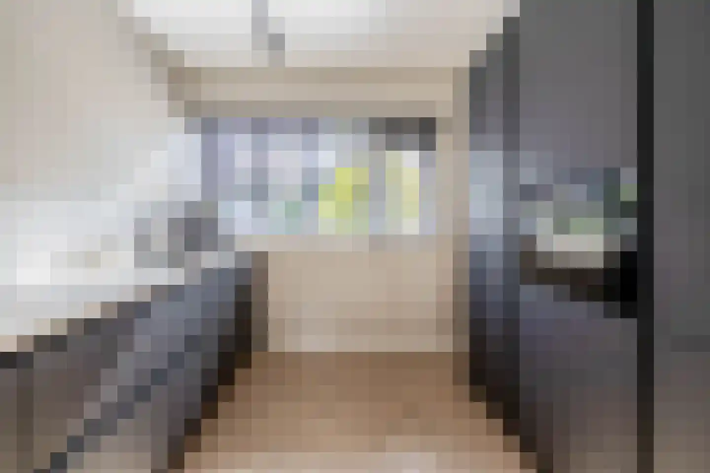 Galjoen 16 Veenendaal thumbnail 17