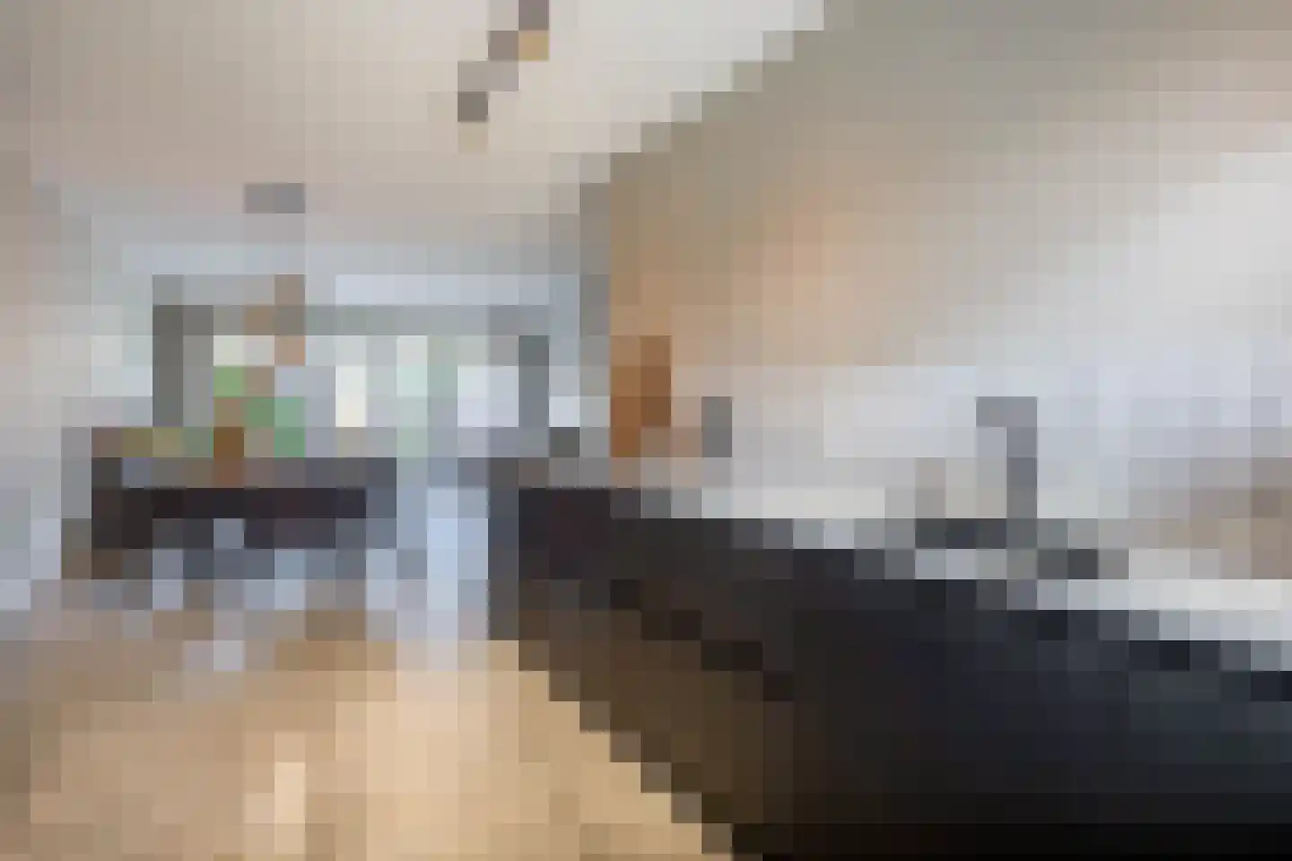 Galjoen 16 Veenendaal thumbnail 18