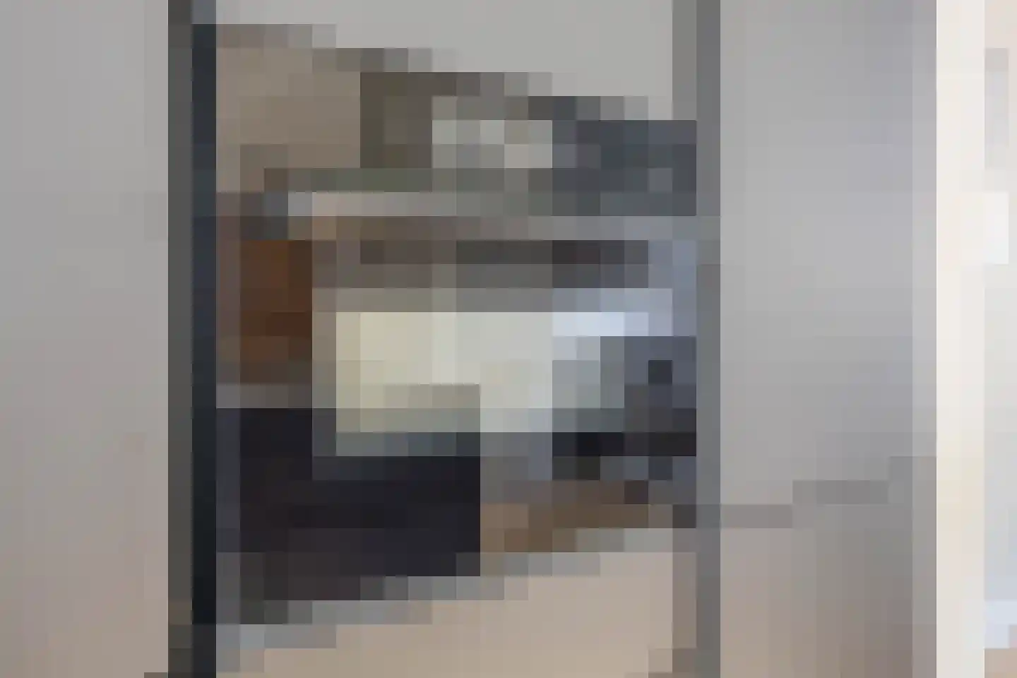 Galjoen 16 Veenendaal thumbnail 19