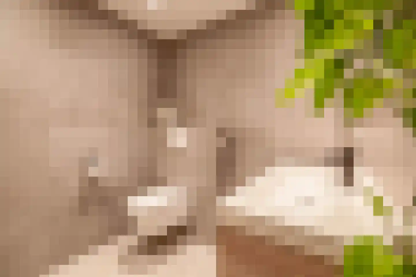Galjoen 16 Veenendaal thumbnail 31