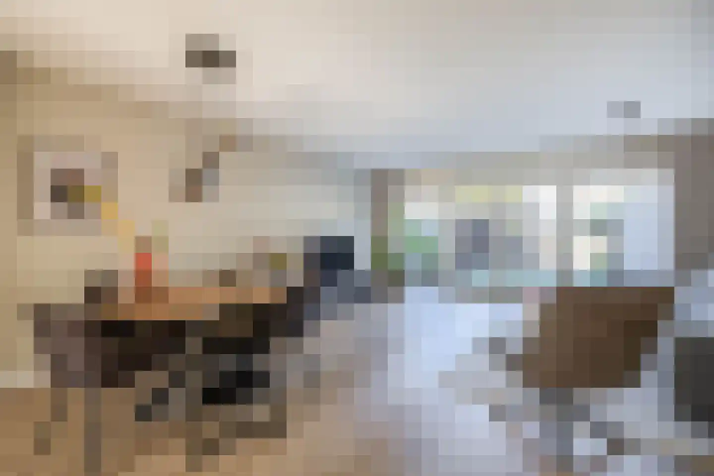 Galjoen 16 Veenendaal thumbnail 8