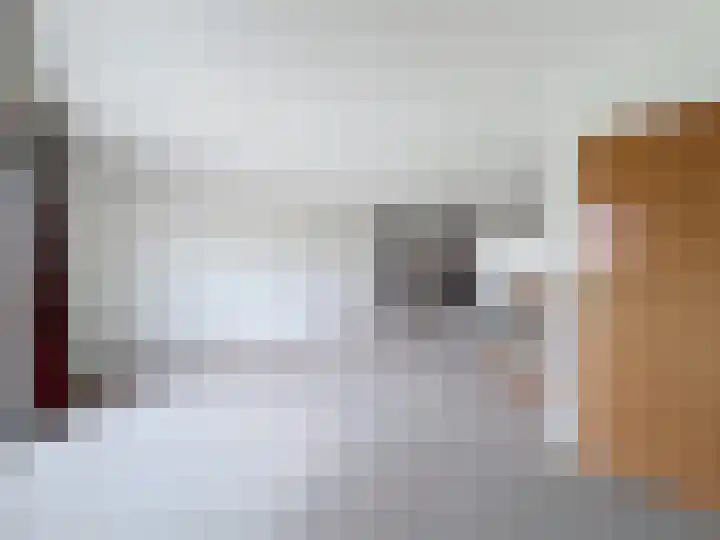 Galjoen 18 Breskens thumbnail 13