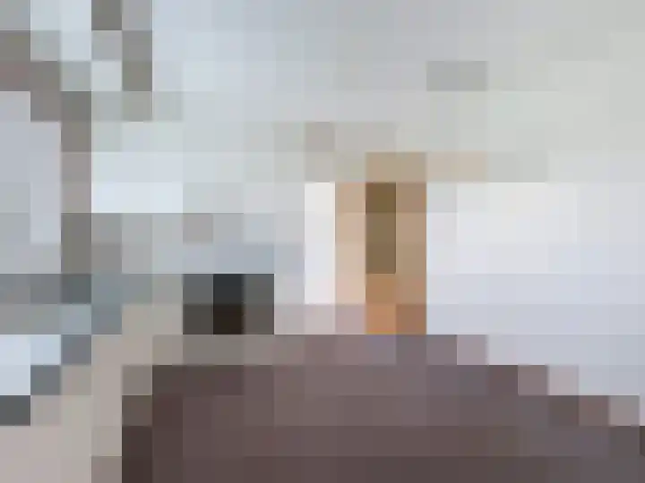 Galjoen 18 Breskens thumbnail 17