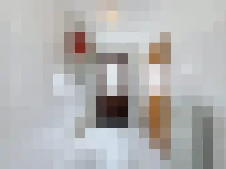 Galjoen 18 Breskens thumbnail 19