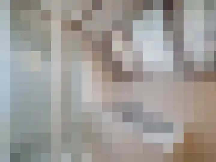 Galjoen 18 Breskens thumbnail 26