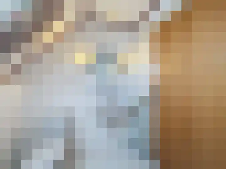 Galjoen 18 Breskens thumbnail 27