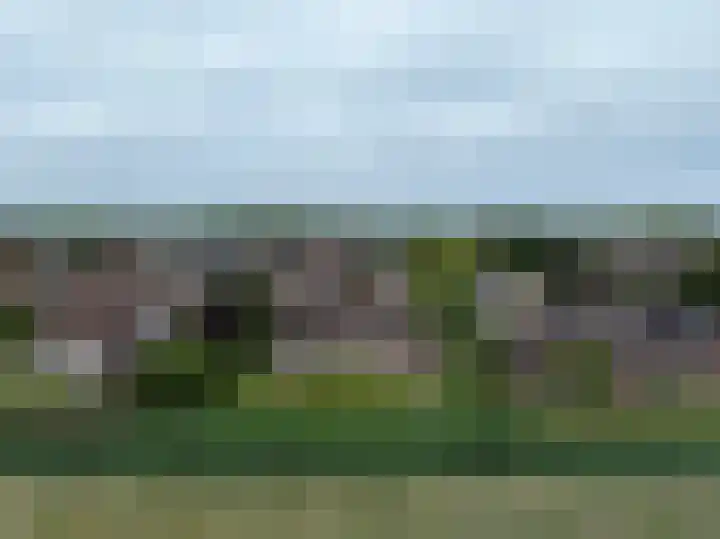 Galjoen 18 Breskens thumbnail 31