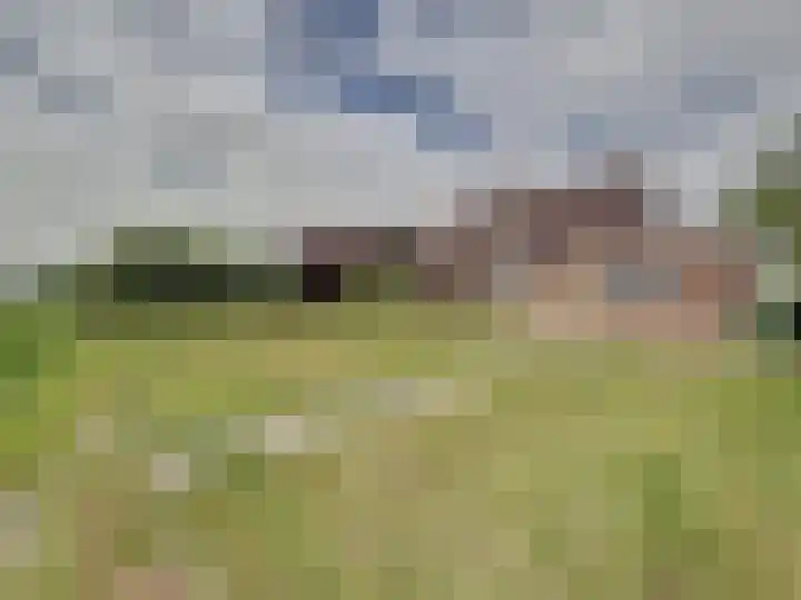 Galjoen 18 Breskens thumbnail 34