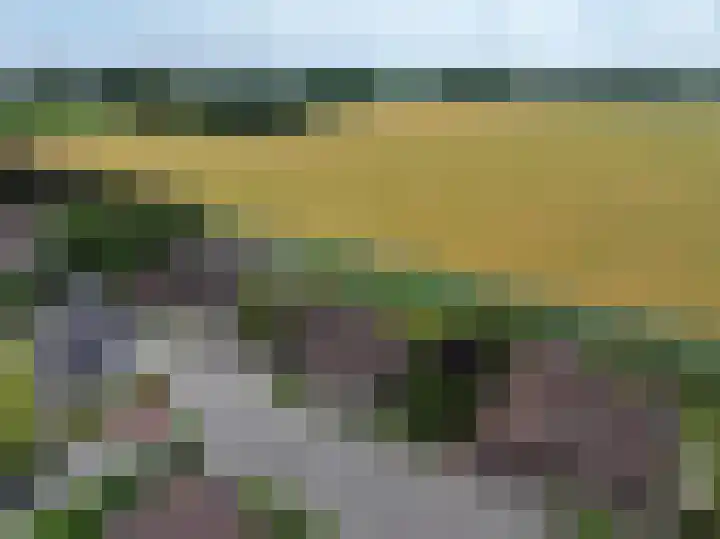 Galjoen 18 Breskens thumbnail 35